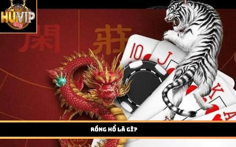 Rồng Hổ là gì?