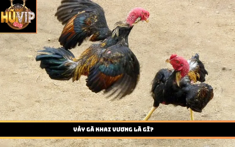 Vảy gà khai vương là gì?