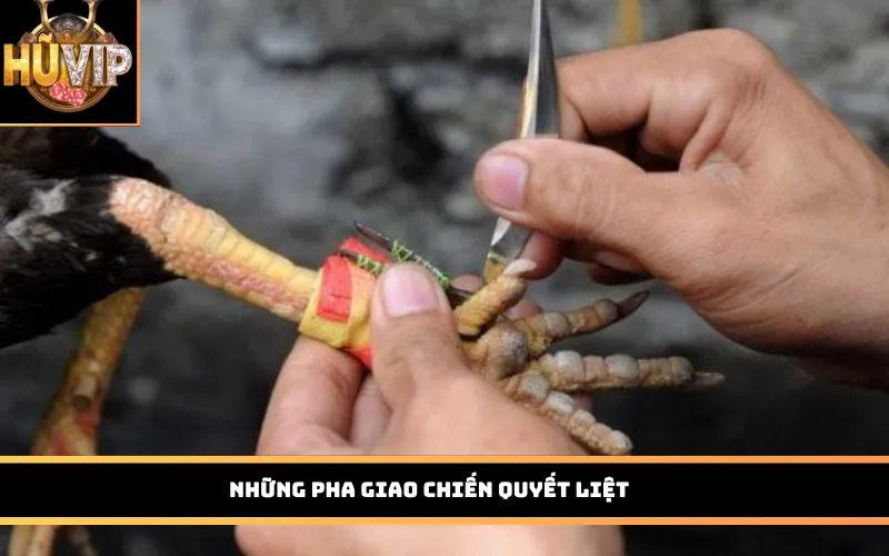 Những pha giao chiến quyết liệt
