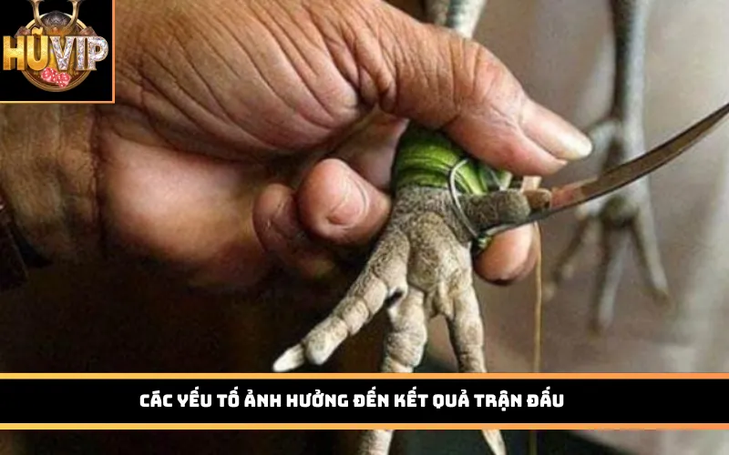 Các yếu tố ảnh hưởng đến kết quả trận đấu